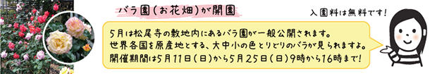 baraen_onepoint620.png
