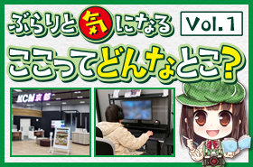 kcnkyoto.png