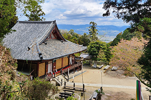 sanpo_matuoderahondo_300.png