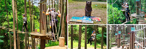sanpo_bokennomori_obi620a.png