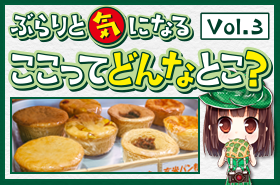 kcnkyoto.png