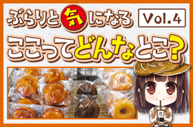kcnkyoto.png