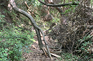 sanpo_ikidomari_190.png