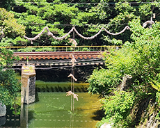 sanpo_kanjyotuna_230.png