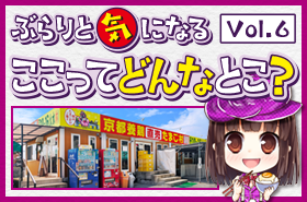 kcnkyoto.png