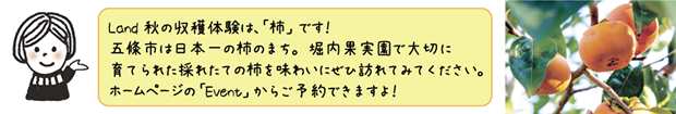 onepoint620.png