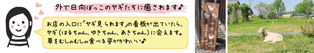 onepointyagi2_620.png