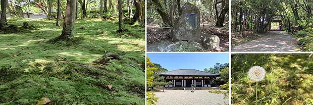 sanpo_akishinogawa_obi620.png