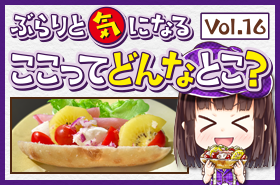 kcnkyoto.png