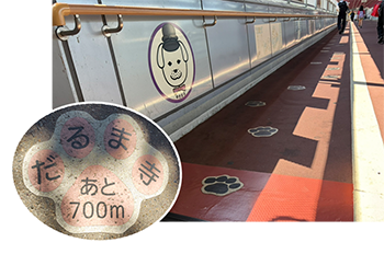 sanpo_yukimaruashiato_350.png