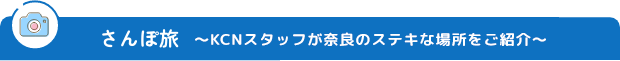 area_01b.png