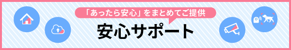 ansinsupport.png