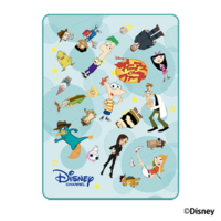 disney towelket.png