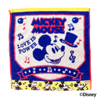 disney_towel.png