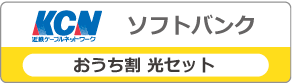 おうち割 光セット